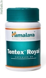 Ostaa Tentex Royal ilman Reseptiä